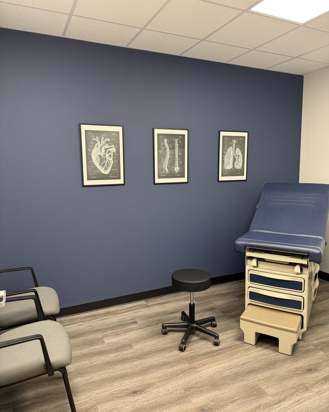 A FINISH exam room: navy wall with vintage anatomy prints